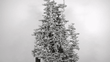 Screen Shot 2021-05-13 at 1.57.08 AM