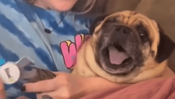 Screen Shot 2021-05-21 at 2.16.17 AM