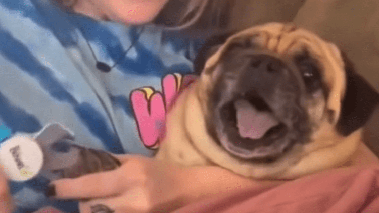 Screen Shot 2021-05-21 at 2.16.17 AM