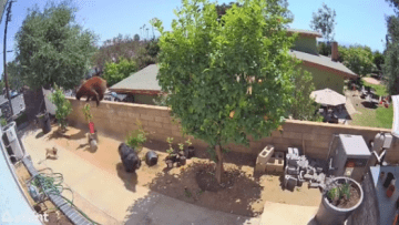 Screen Shot 2021-06-01 at 6.45.58 PM