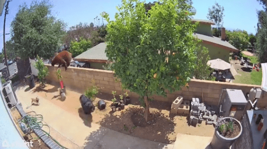 Screen Shot 2021-06-01 at 6.45.58 PM