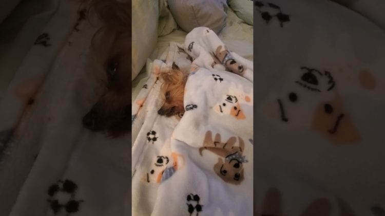 Video thumbnail for youtube video qopekmvz_zu