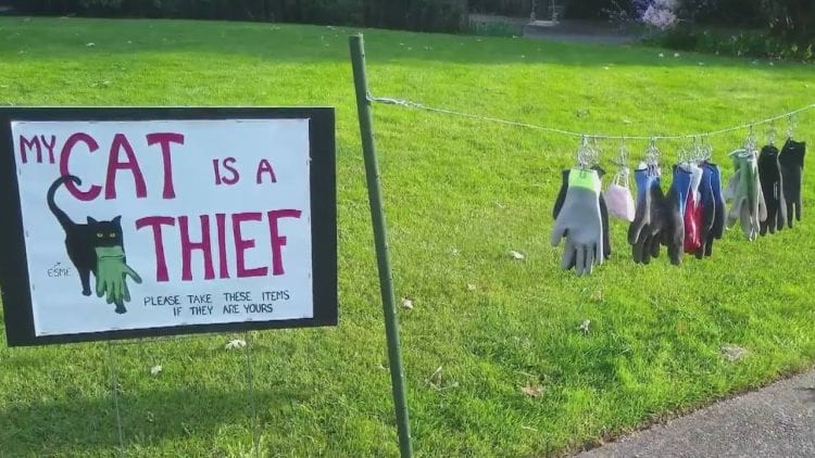 Video thumbnail for youtube video vqi-5zjc_qg