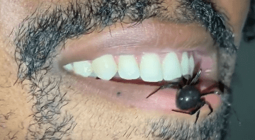 Screen Shot 2021-07-15 at 6.20.36 AM