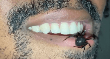 Screen Shot 2021-07-15 at 6.20.36 AM