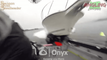 Screen Shot 2021-07-16 at 3.57.16 AM