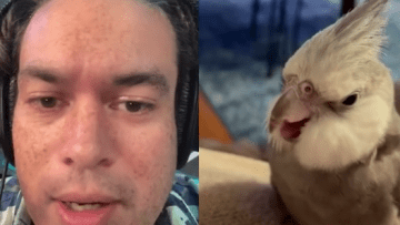 Screen Shot 2021-08-27 at 3.37.41 AM