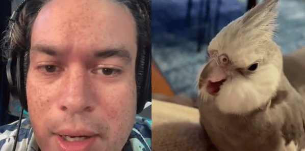 Screen Shot 2021-08-27 at 3.37.41 AM