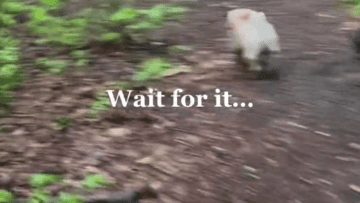 Screen Shot 2021-10-05 at 2.29.52 AM