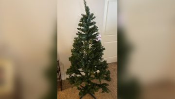 Christmas-Tree-Fail_Web