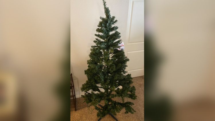 Christmas-Tree-Fail_Web
