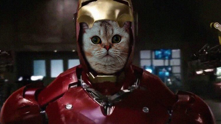 Iron-cat-web