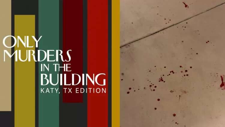Only-Murders-web